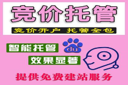 SEM推广代运营案例深度剖析